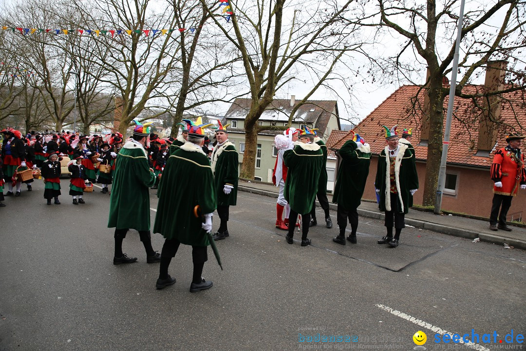 Fasnet Festumzug mit Motivwagen : Stockach am Bodensee, 01.02.2015