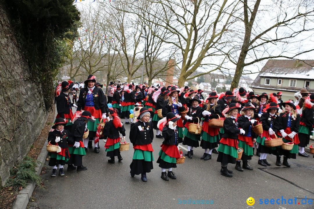 Fasnet Festumzug mit Motivwagen : Stockach am Bodensee, 01.02.2015