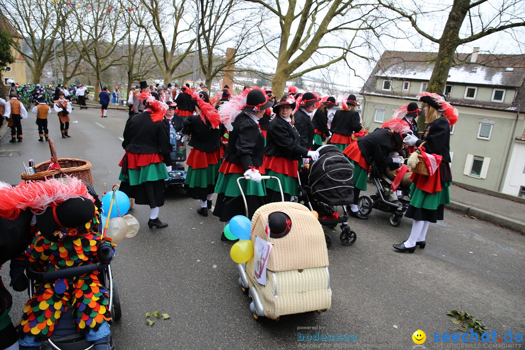 Fasnet Festumzug mit Motivwagen : Stockach am Bodensee, 01.02.2015