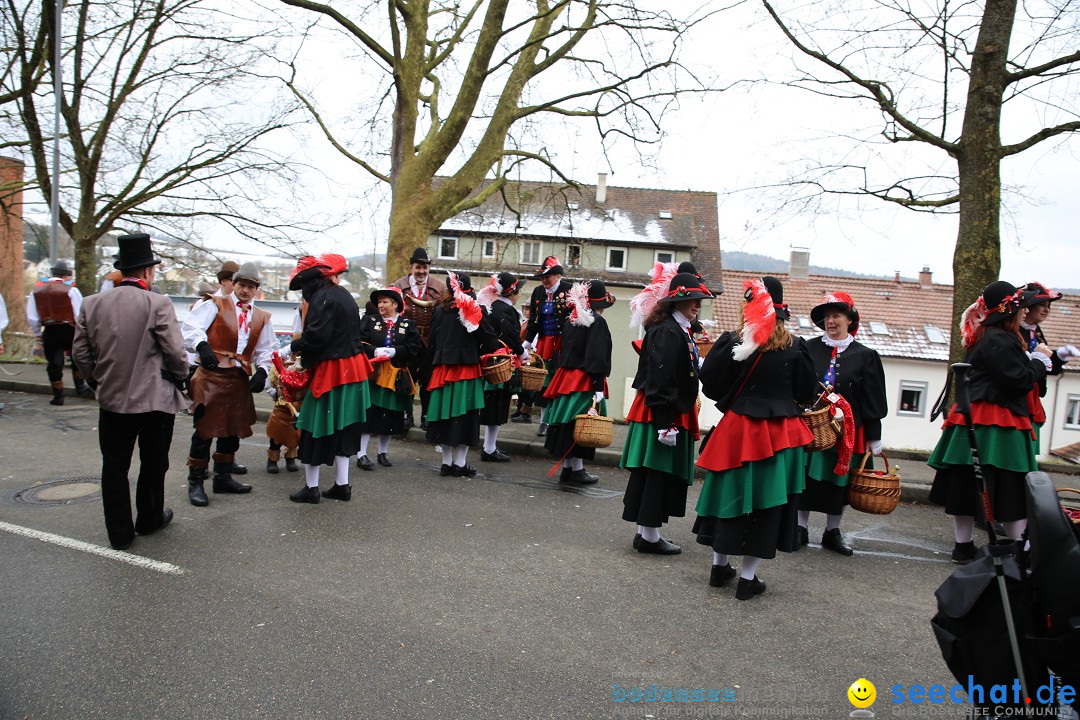 Fasnet Festumzug mit Motivwagen : Stockach am Bodensee, 01.02.2015