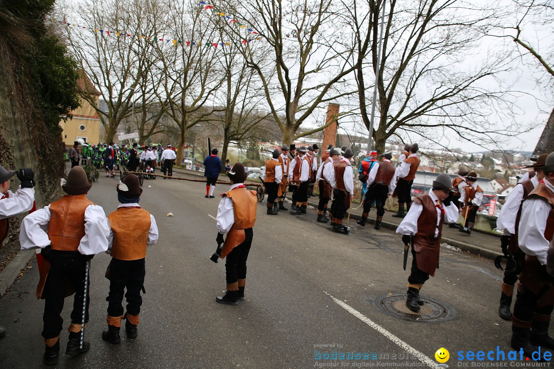 Fasnet Festumzug mit Motivwagen : Stockach am Bodensee, 01.02.2015