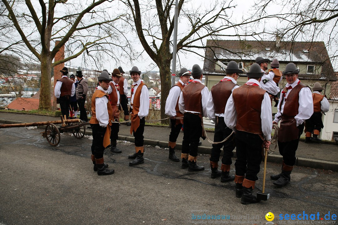 Fasnet Festumzug mit Motivwagen : Stockach am Bodensee, 01.02.2015