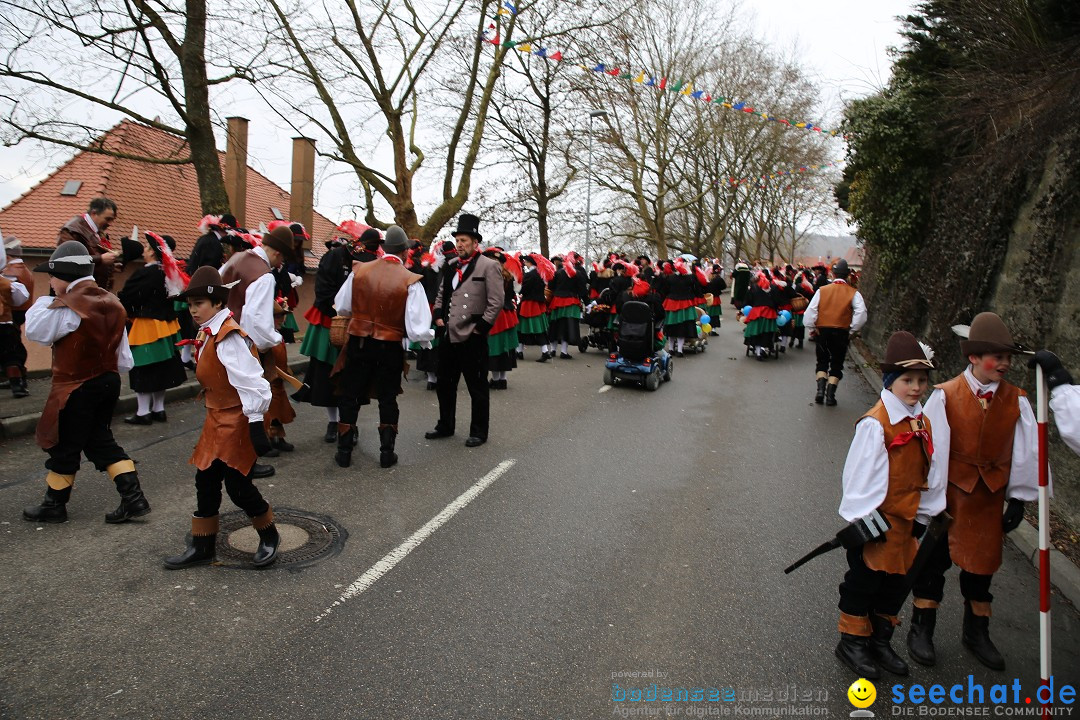 Fasnet Festumzug mit Motivwagen : Stockach am Bodensee, 01.02.2015