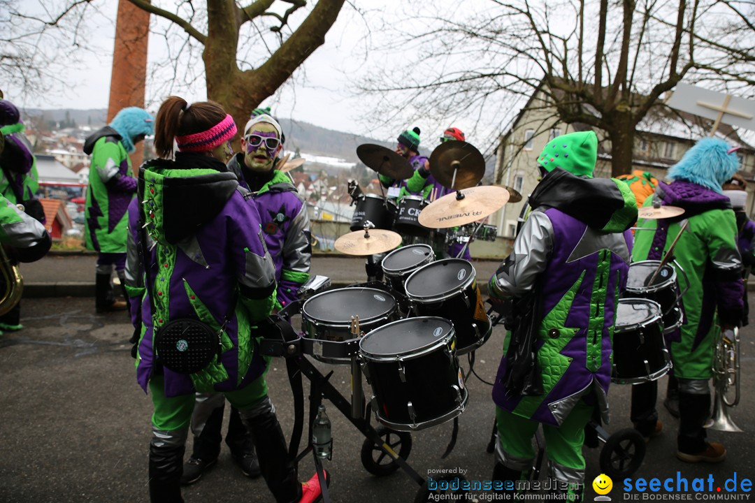 Fasnet Festumzug mit Motivwagen : Stockach am Bodensee, 01.02.2015