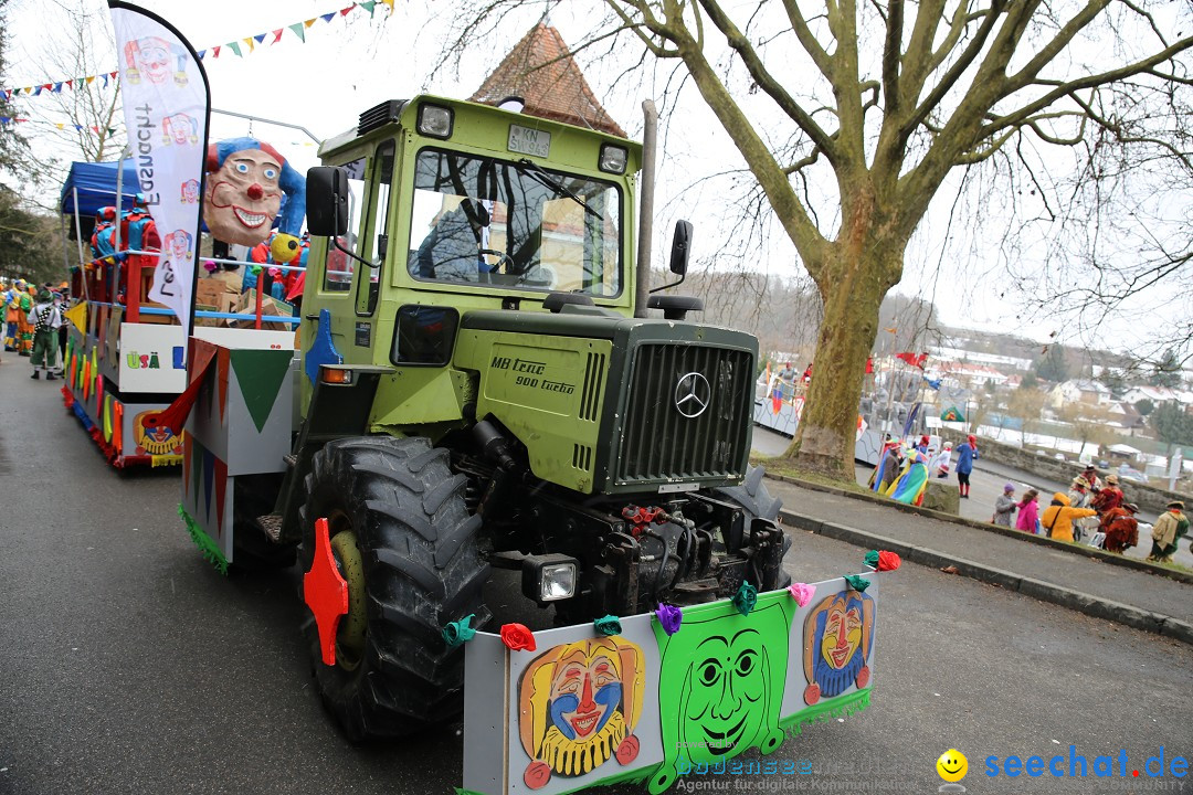 Fasnet Festumzug mit Motivwagen : Stockach am Bodensee, 01.02.2015