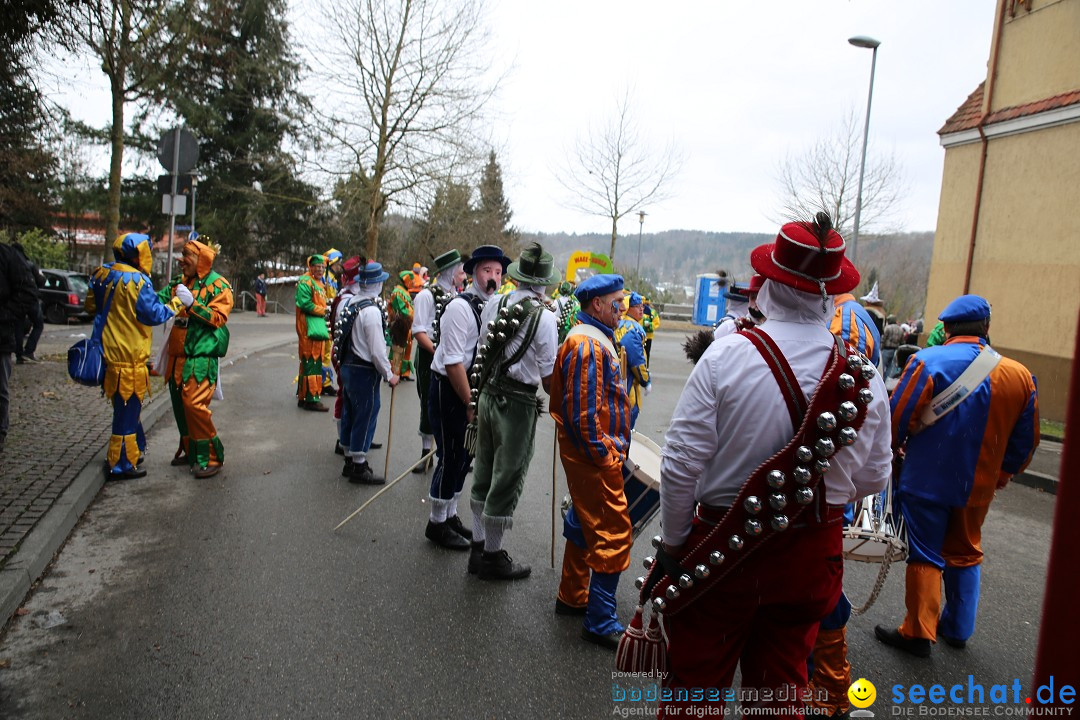 Fasnet Festumzug mit Motivwagen : Stockach am Bodensee, 01.02.2015