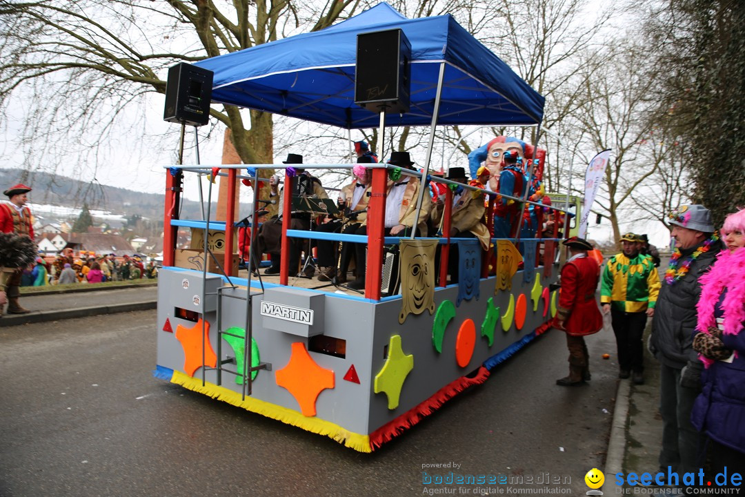 Fasnet Festumzug mit Motivwagen : Stockach am Bodensee, 01.02.2015