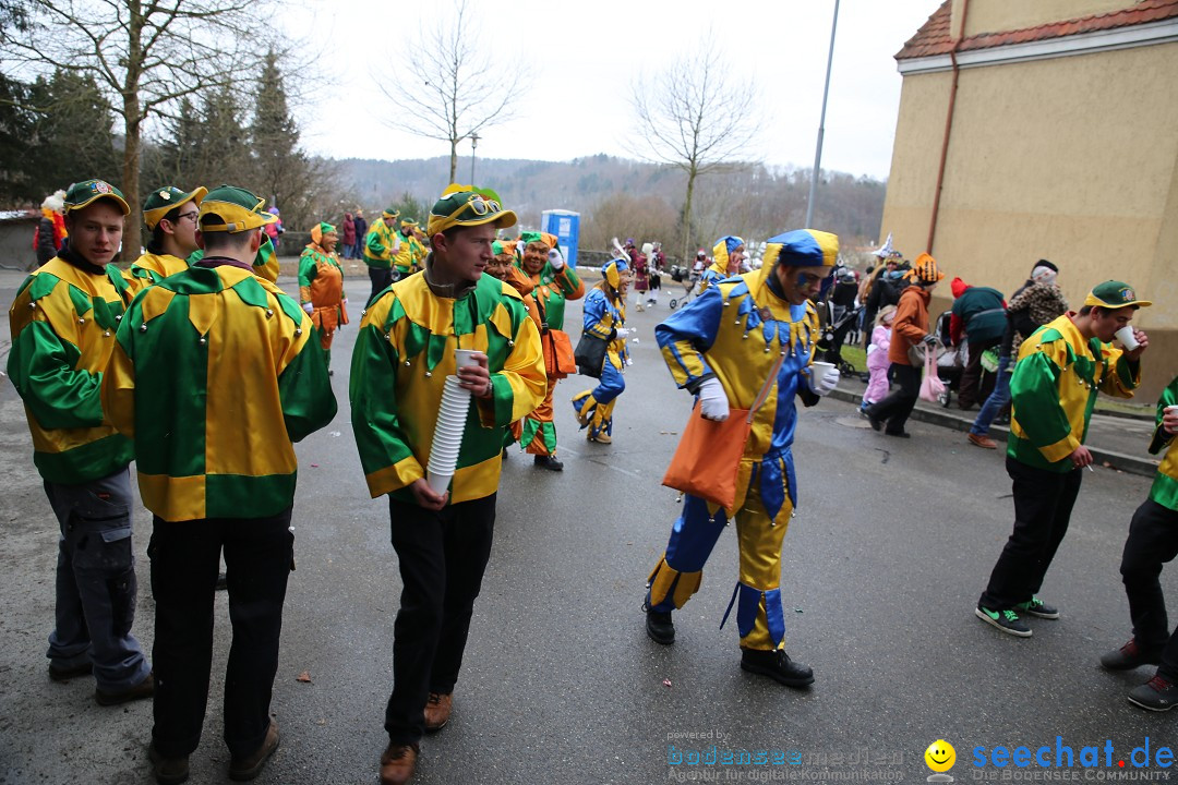 Fasnet Festumzug mit Motivwagen : Stockach am Bodensee, 01.02.2015