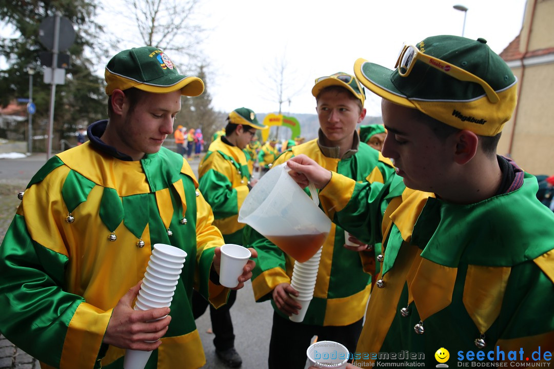 Fasnet Festumzug mit Motivwagen : Stockach am Bodensee, 01.02.2015