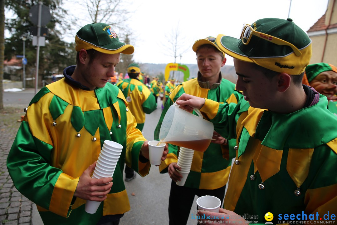 Fasnet Festumzug mit Motivwagen : Stockach am Bodensee, 01.02.2015