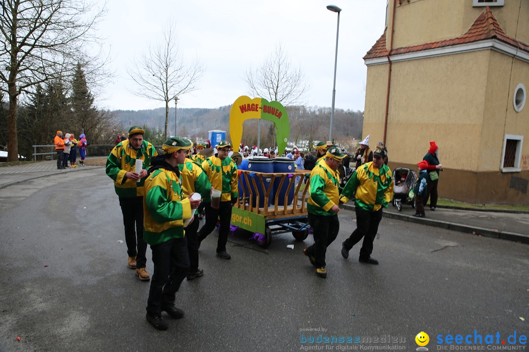 Fasnet Festumzug mit Motivwagen : Stockach am Bodensee, 01.02.2015