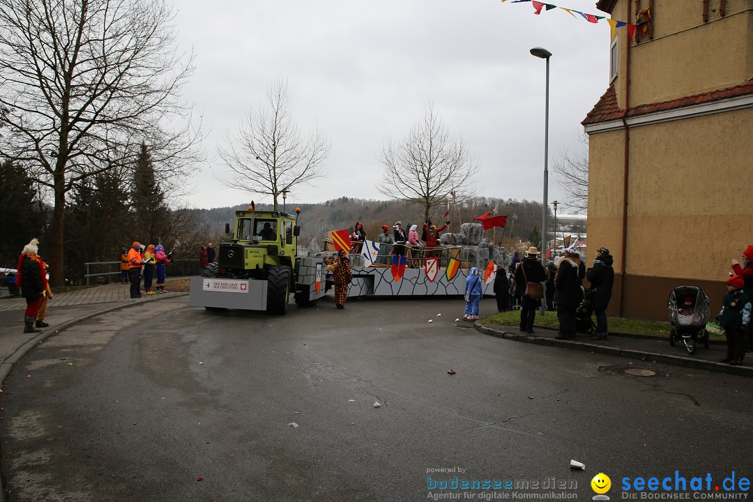 Fasnet Festumzug mit Motivwagen : Stockach am Bodensee, 01.02.2015