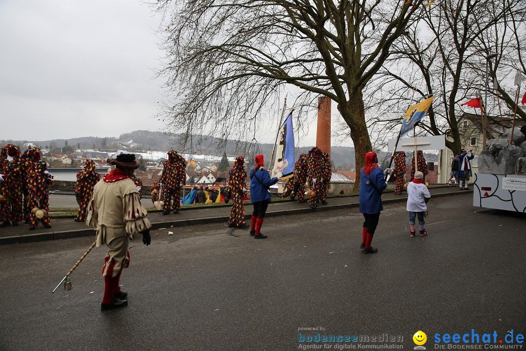 Fasnet Festumzug mit Motivwagen : Stockach am Bodensee, 01.02.2015