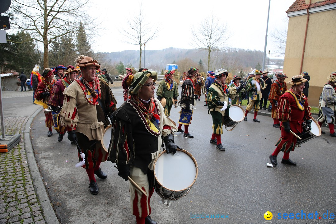 Fasnet Festumzug mit Motivwagen : Stockach am Bodensee, 01.02.2015