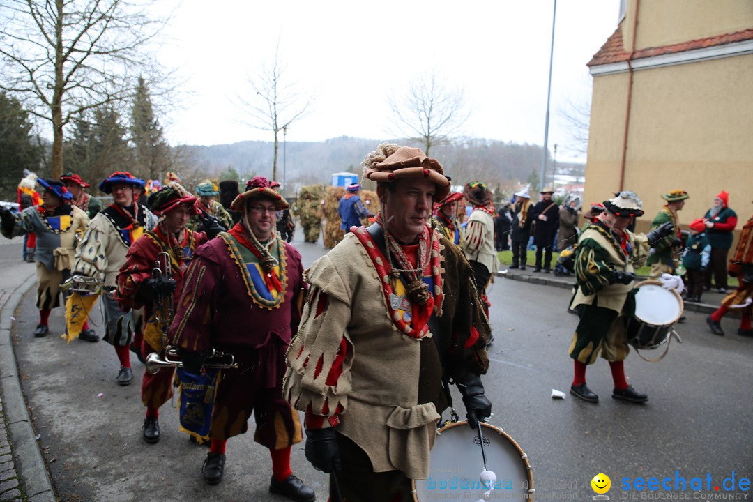 Fasnet Festumzug mit Motivwagen : Stockach am Bodensee, 01.02.2015