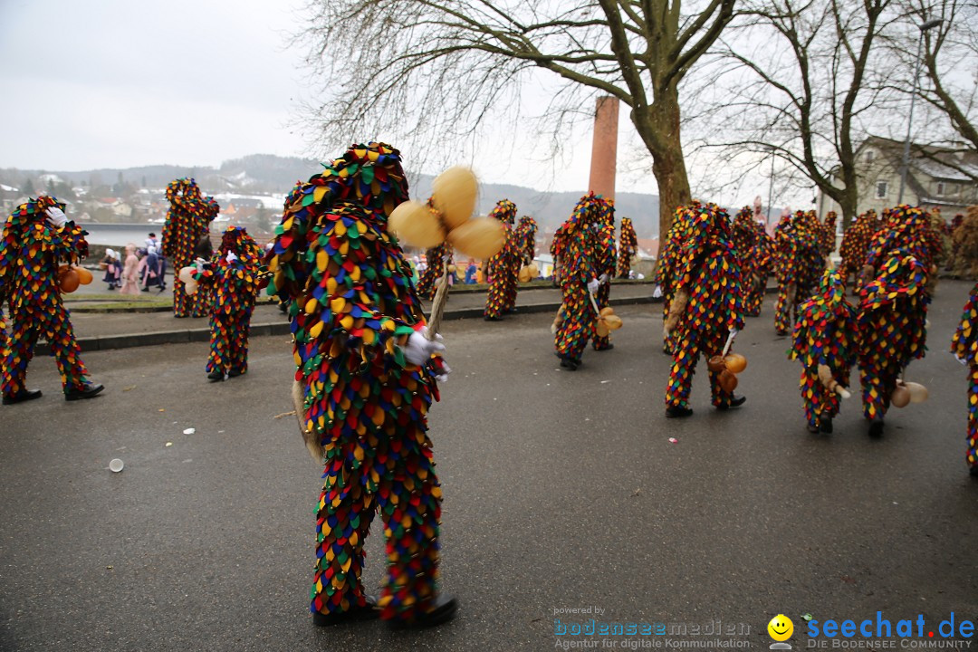 Fasnet Festumzug mit Motivwagen : Stockach am Bodensee, 01.02.2015