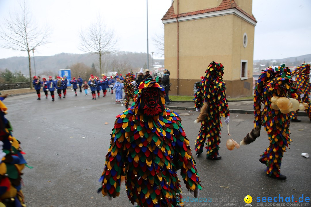 Fasnet Festumzug mit Motivwagen : Stockach am Bodensee, 01.02.2015