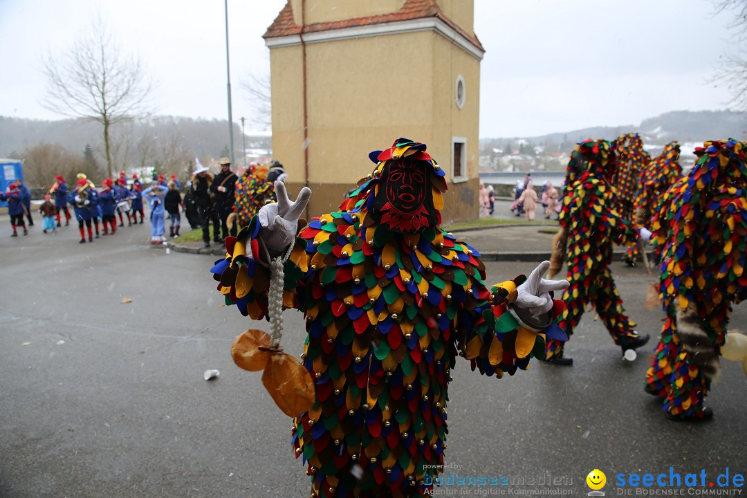 Fasnet Festumzug mit Motivwagen : Stockach am Bodensee, 01.02.2015