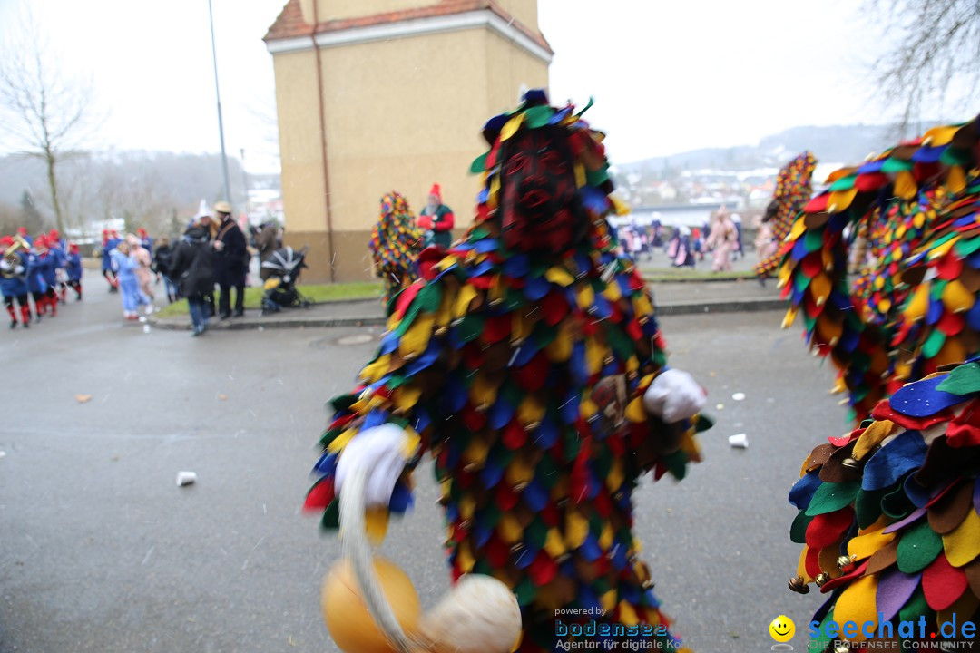 Fasnet Festumzug mit Motivwagen : Stockach am Bodensee, 01.02.2015