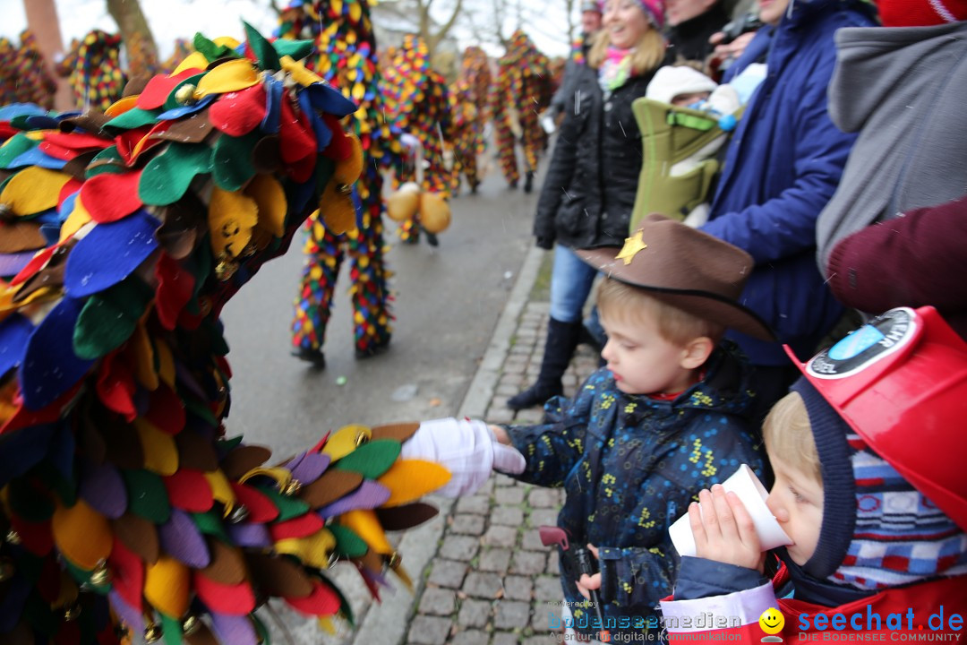 Fasnet Festumzug mit Motivwagen : Stockach am Bodensee, 01.02.2015