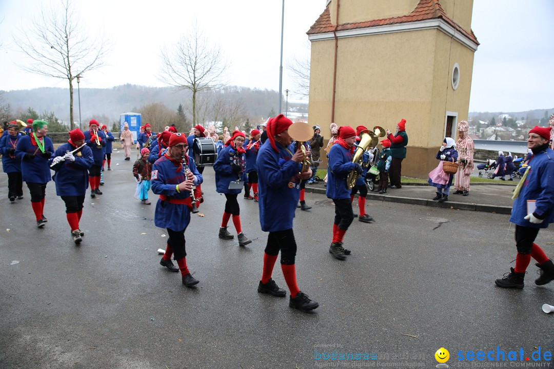 Fasnet Festumzug mit Motivwagen : Stockach am Bodensee, 01.02.2015