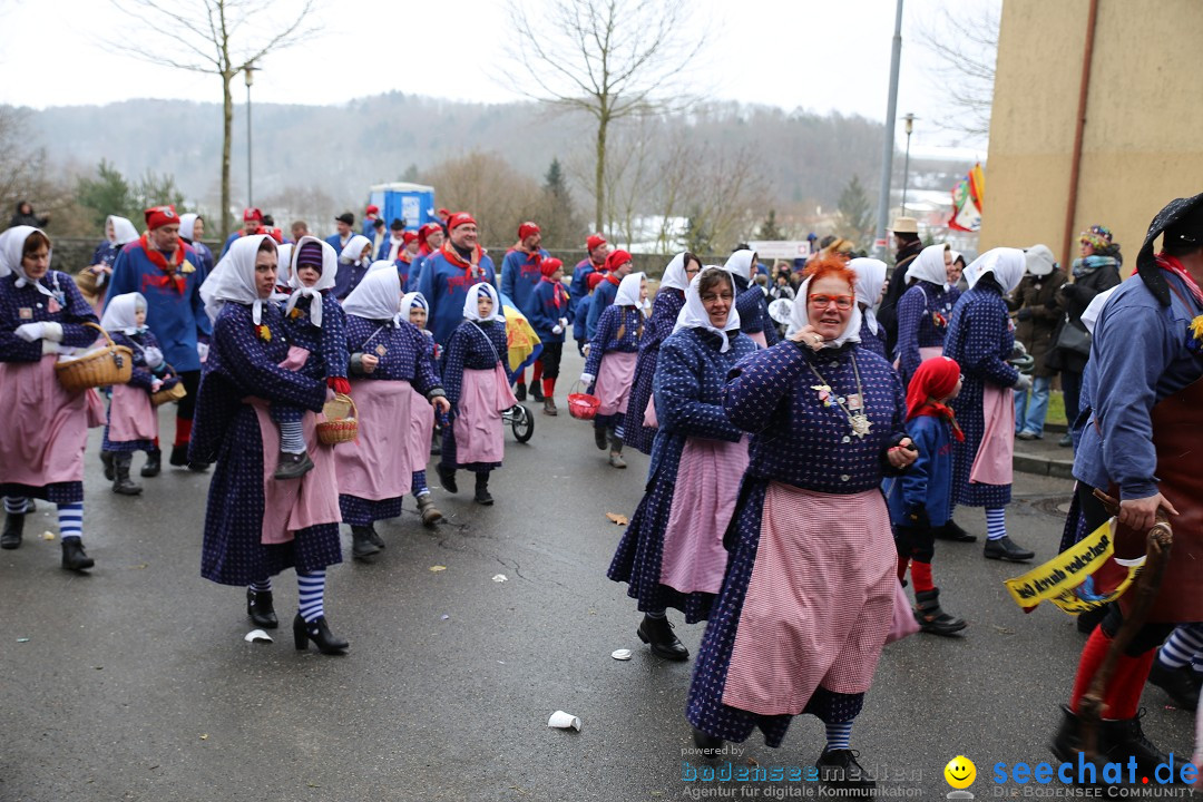 Fasnet Festumzug mit Motivwagen : Stockach am Bodensee, 01.02.2015