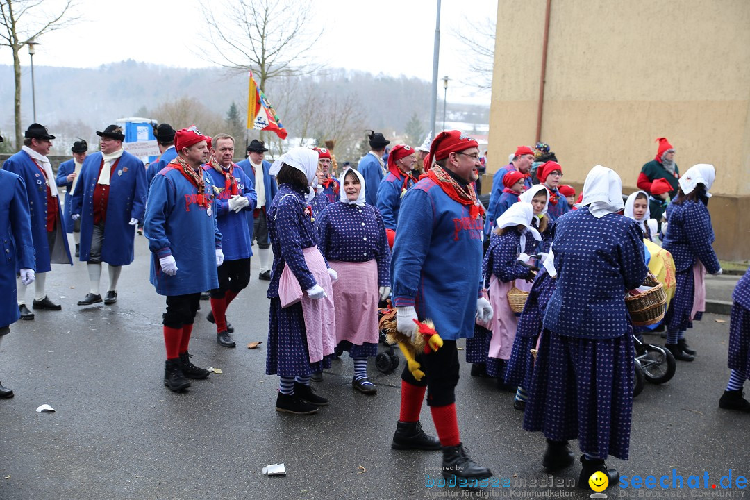 Fasnet Festumzug mit Motivwagen : Stockach am Bodensee, 01.02.2015