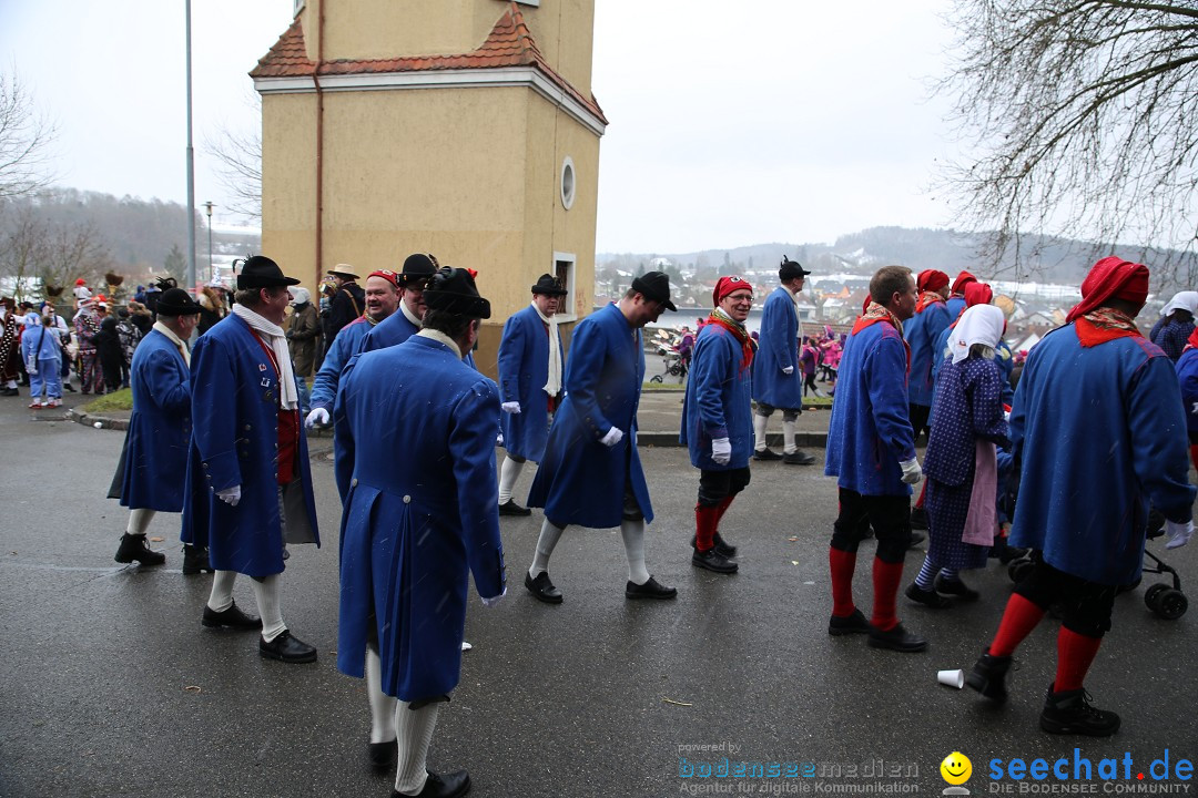 Fasnet Festumzug mit Motivwagen : Stockach am Bodensee, 01.02.2015