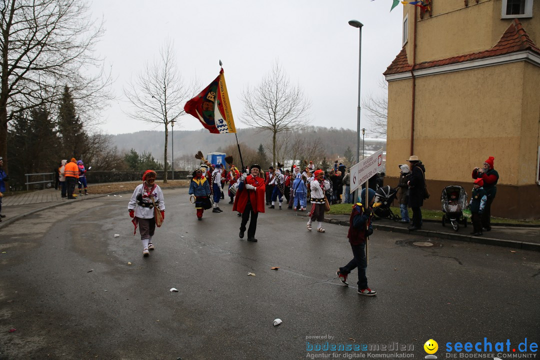 Fasnet Festumzug mit Motivwagen : Stockach am Bodensee, 01.02.2015