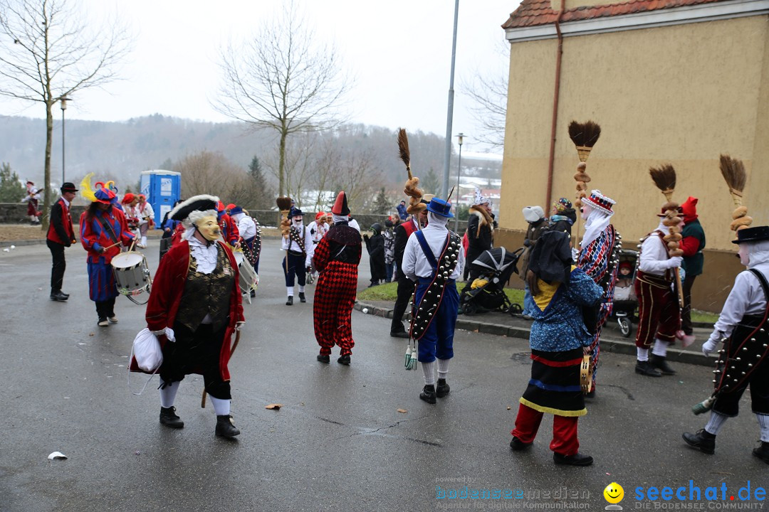 Fasnet Festumzug mit Motivwagen : Stockach am Bodensee, 01.02.2015