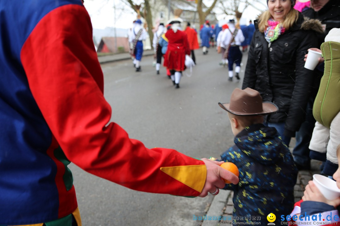 Fasnet Festumzug mit Motivwagen : Stockach am Bodensee, 01.02.2015