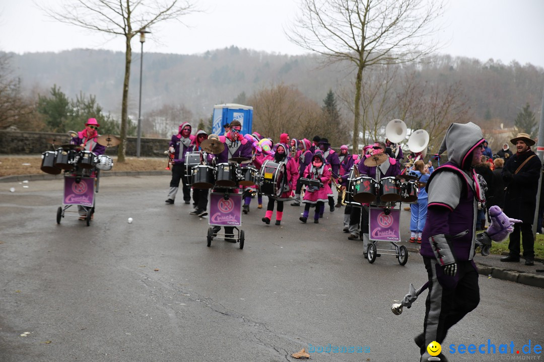 Fasnet Festumzug mit Motivwagen : Stockach am Bodensee, 01.02.2015