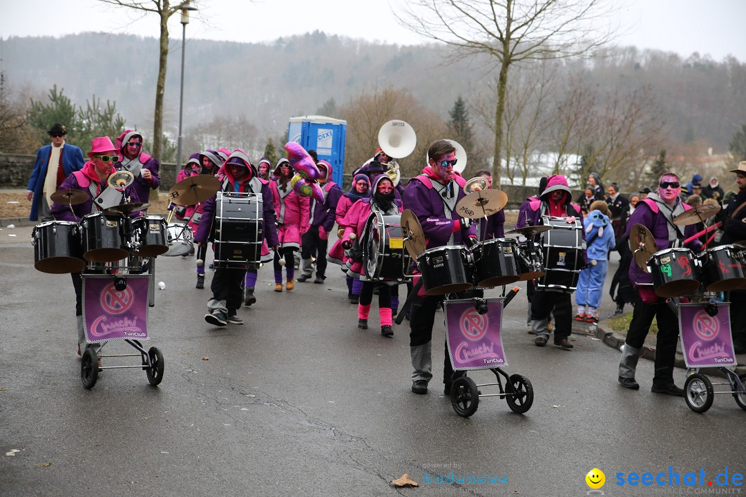 Fasnet Festumzug mit Motivwagen : Stockach am Bodensee, 01.02.2015