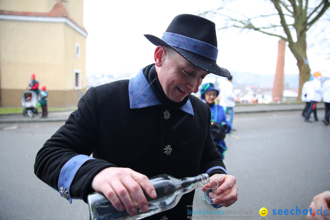 Fasnet Festumzug mit Motivwagen : Stockach am Bodensee, 01.02.2015