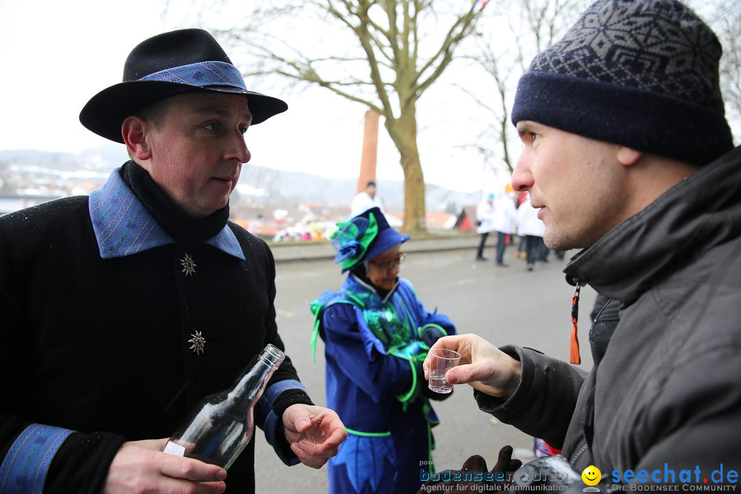 Fasnet Festumzug mit Motivwagen : Stockach am Bodensee, 01.02.2015