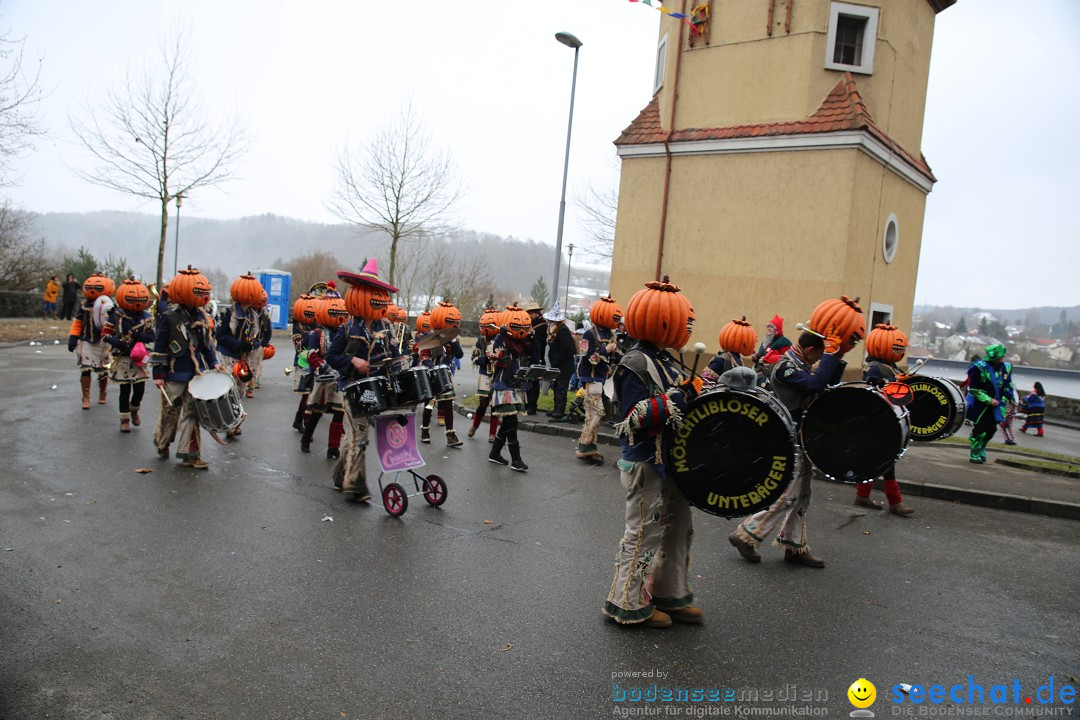 Fasnet Festumzug mit Motivwagen : Stockach am Bodensee, 01.02.2015