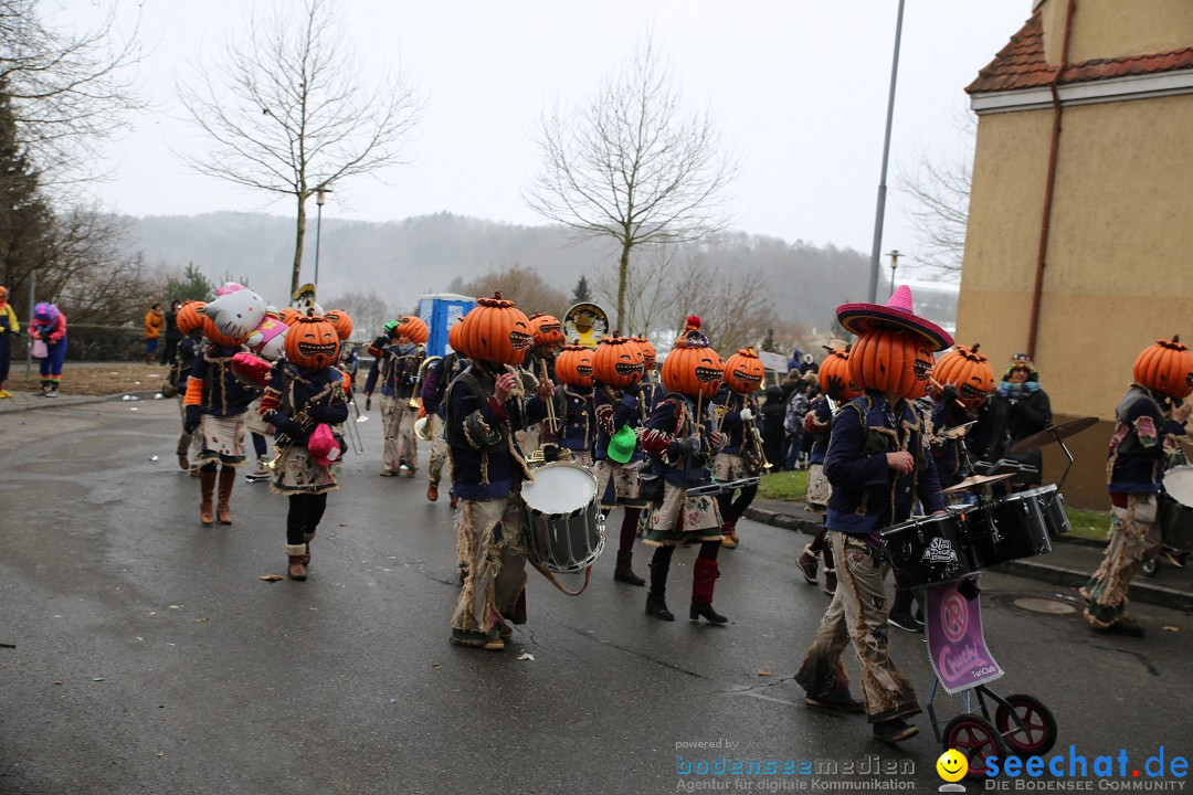 Fasnet Festumzug mit Motivwagen : Stockach am Bodensee, 01.02.2015