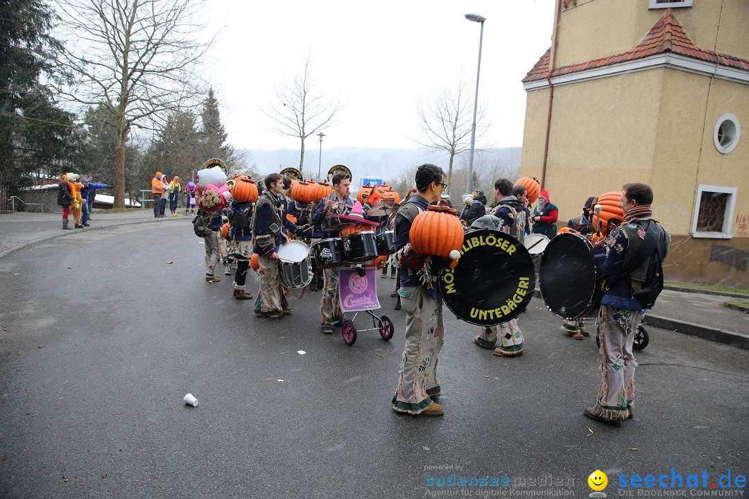 Fasnet Festumzug mit Motivwagen : Stockach am Bodensee, 01.02.2015