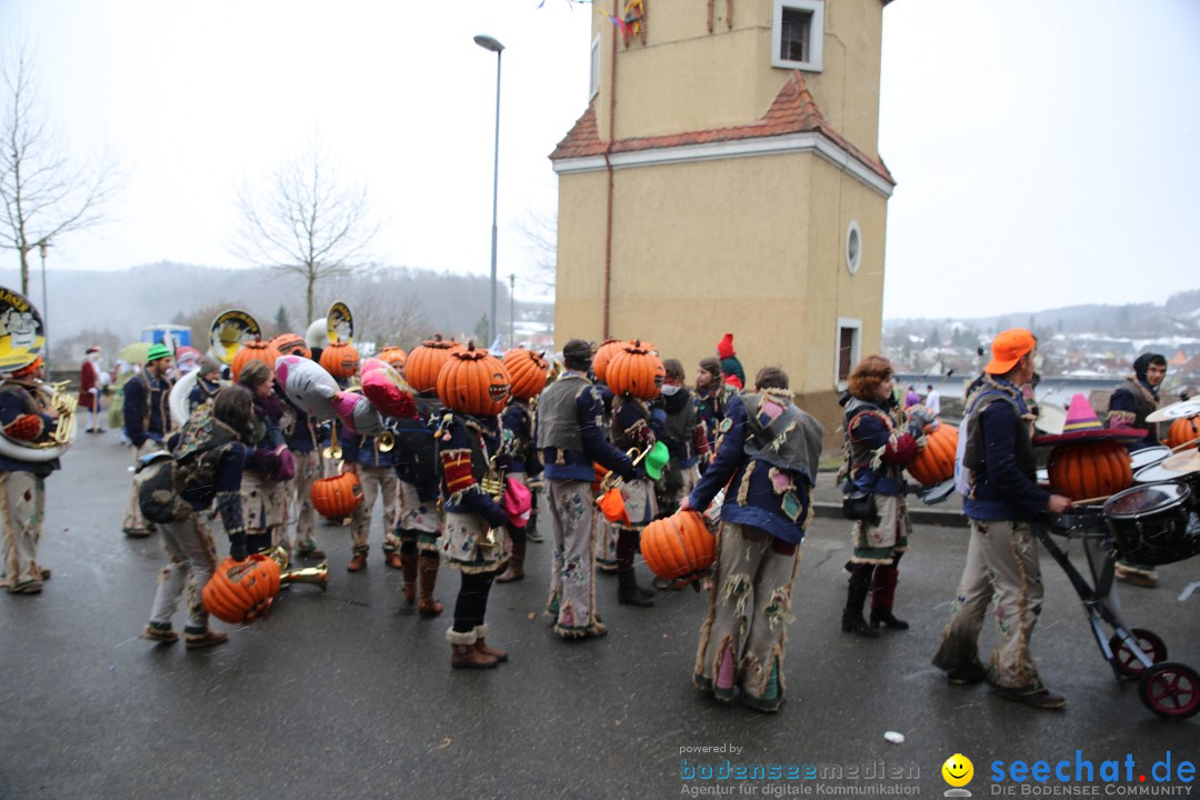 Fasnet Festumzug mit Motivwagen : Stockach am Bodensee, 01.02.2015