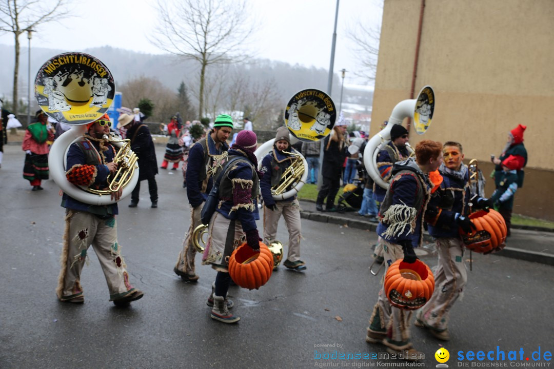 Fasnet Festumzug mit Motivwagen : Stockach am Bodensee, 01.02.2015