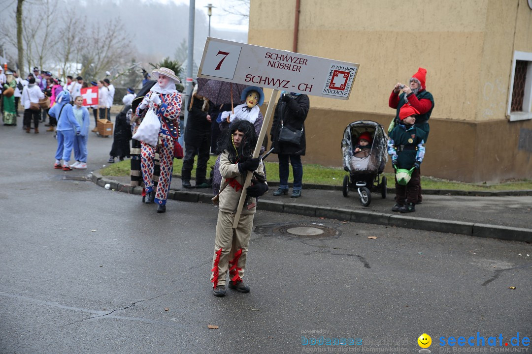 Fasnet Festumzug mit Motivwagen : Stockach am Bodensee, 01.02.2015