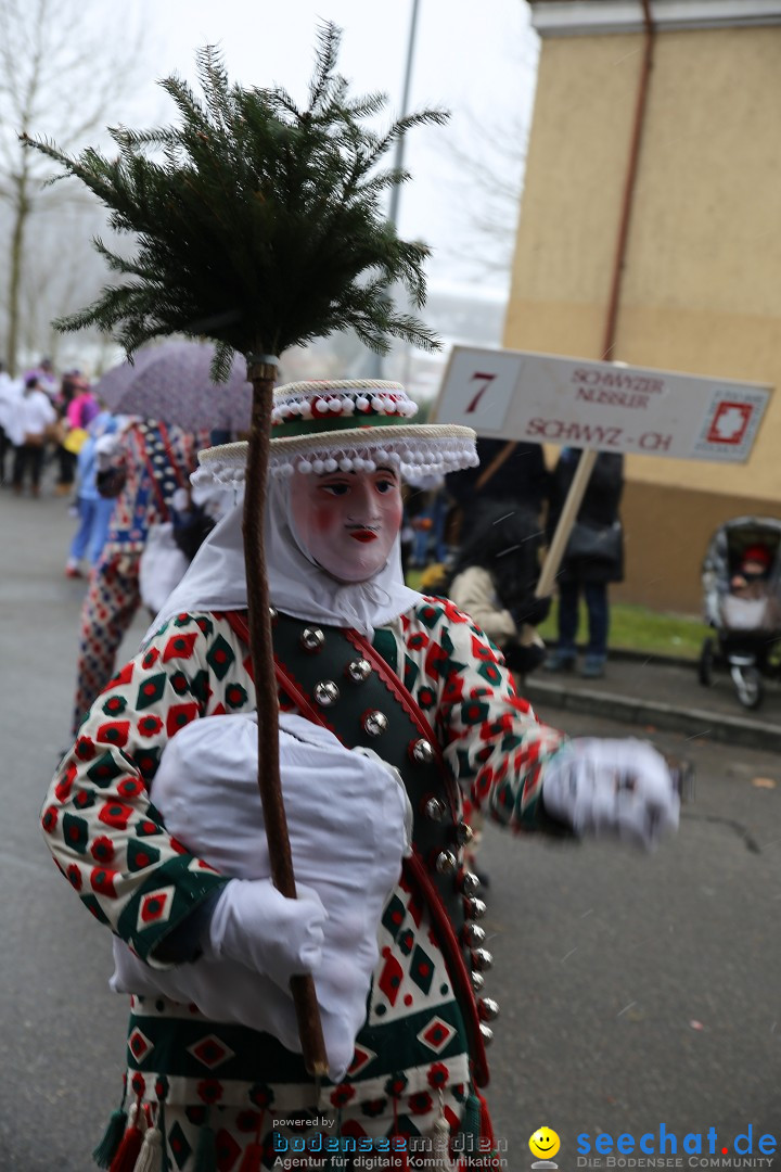 Fasnet Festumzug mit Motivwagen : Stockach am Bodensee, 01.02.2015