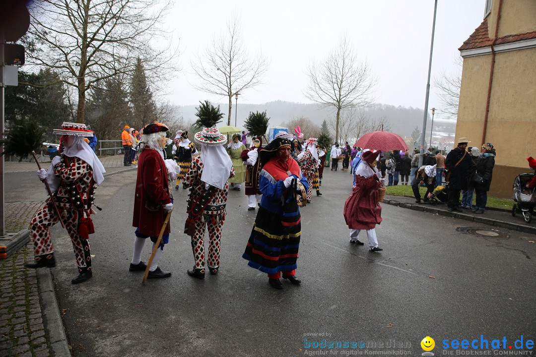 Fasnet Festumzug mit Motivwagen : Stockach am Bodensee, 01.02.2015