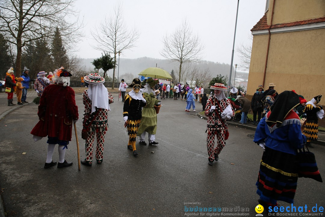 Fasnet Festumzug mit Motivwagen : Stockach am Bodensee, 01.02.2015