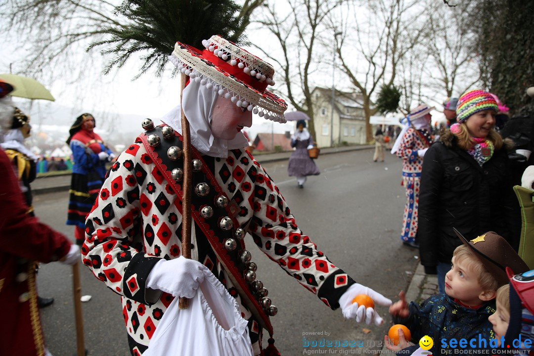 Fasnet Festumzug mit Motivwagen : Stockach am Bodensee, 01.02.2015