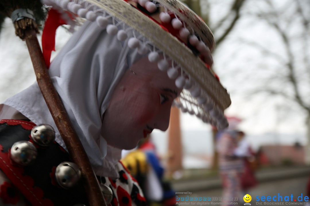 Fasnet Festumzug mit Motivwagen : Stockach am Bodensee, 01.02.2015