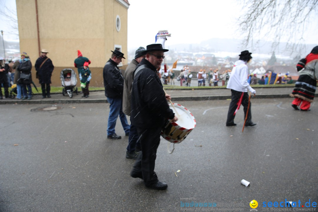 Fasnet Festumzug mit Motivwagen : Stockach am Bodensee, 01.02.2015