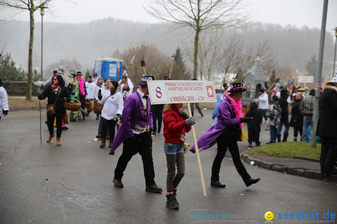 Fasnet Festumzug mit Motivwagen : Stockach am Bodensee, 01.02.2015