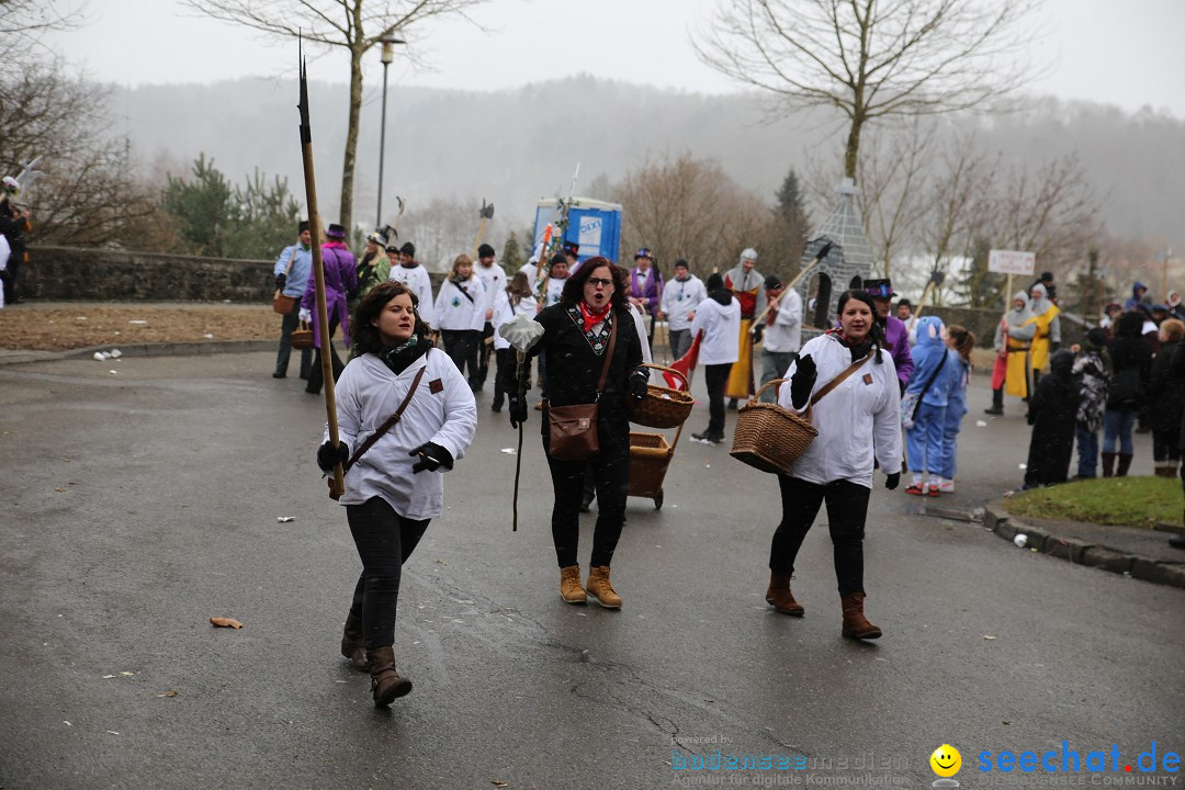 Fasnet Festumzug mit Motivwagen : Stockach am Bodensee, 01.02.2015