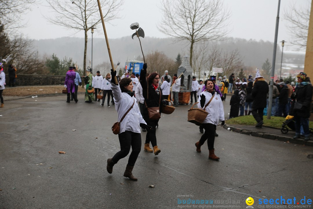 Fasnet Festumzug mit Motivwagen : Stockach am Bodensee, 01.02.2015